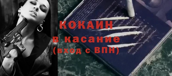 твердый Осинники