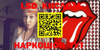 индика Гатчина