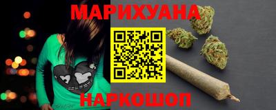 индика Гатчина