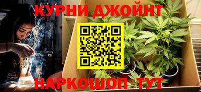 крисы Волжский