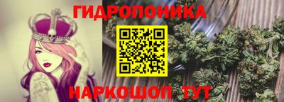 крисы Волжский