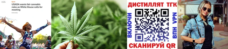 shop как зайти Волжск ТГК концентрат