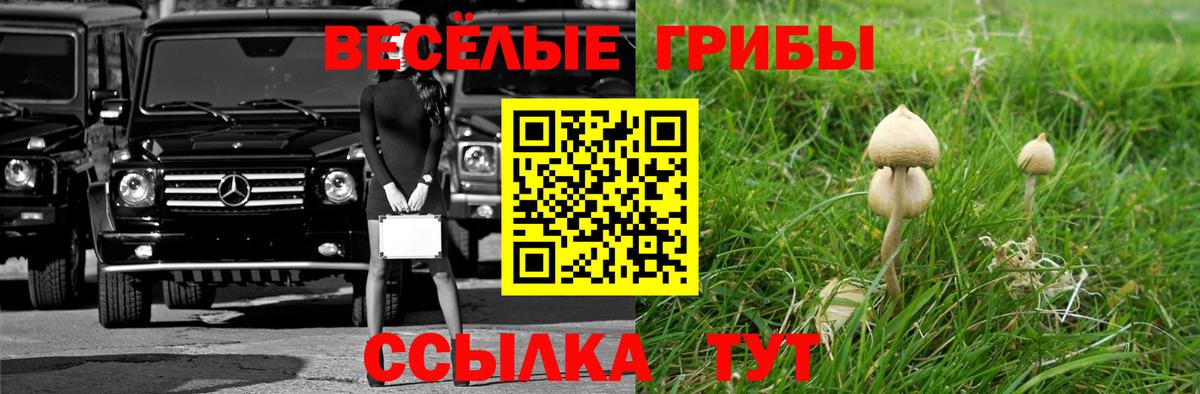 Галлюциногенные грибы мухоморы Волжск